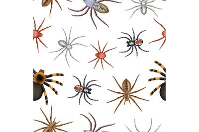 Spiders pattern. Realistic toxic spiders collection decent vector seam