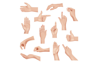 Hands gestures. Realistic detailed anatomic people body parts human ha