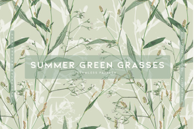 Summer Green Grasses