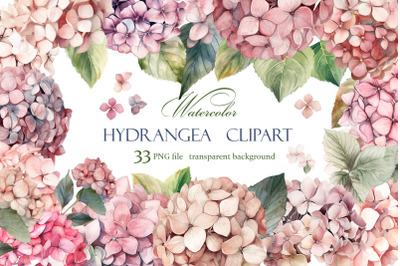 Hydrangea clipart, Watercolor floral clipart