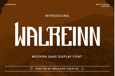 Walreinn Modern Sans Display Font