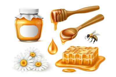 Realistic honey elements. Field chamomile, bees mined sweet taste prod