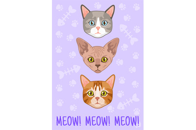 Cats card. Different breed cute cat head, meow text. Poster or t-shirt