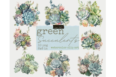 Green Succulents Png Watercolor Clipart