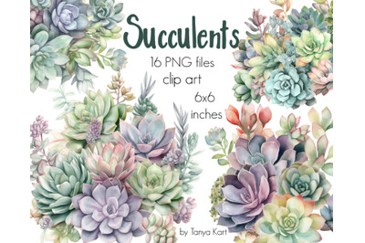 Watercolor Succulent Clipart - 16 Png Files