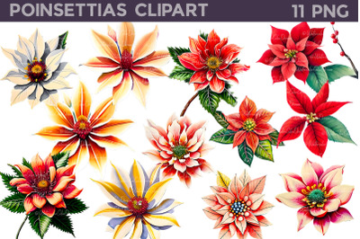 Poinsettias clipart | Christmas Flowers Clipart&nbsp;