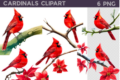 Cardinals clipart | Christmas Flowers Clipart
