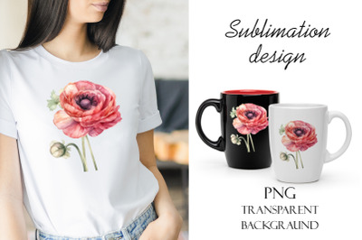 Sublimation design, pink ranunculus flowers, PNG file