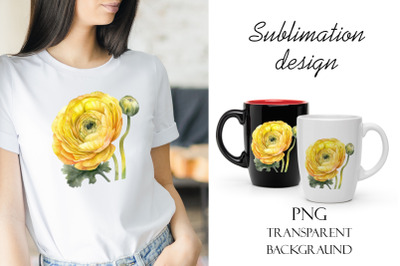 Sublimation design, yellow ranunculus flowers, PNG file