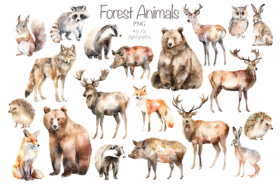 Forest Animals watercolor clipart