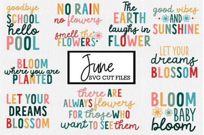 Flower Quote SVG Bundle | June Summer SVG Cut Files