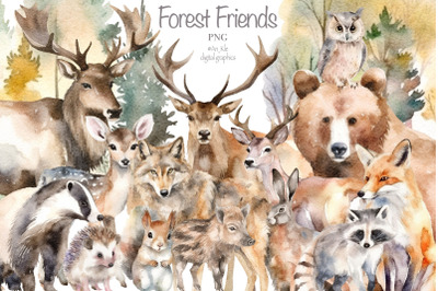 Forest animals backgrounds clipart bundle