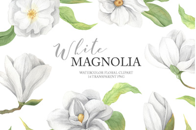 Watercolor Magnolia Flower Clipart PNG
