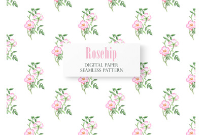 Rosehip watercolor seamless pattern, digital paper. Blooming flower.