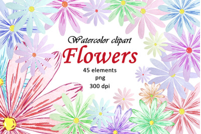 Watercolor Flowers Summer Clipart PNG