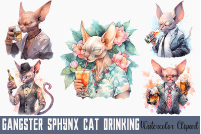 Gangster Sphynx Cat Drinking Bundle