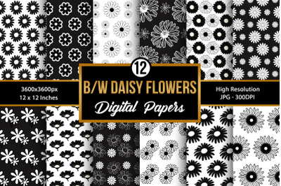 Black and White Daisy Flowers Digital Papers