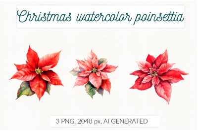 Red poinsettia watercolor PNG Christmas floral isolated illustration