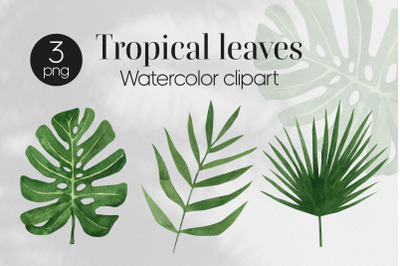 Watercolor Tropical Leaves Clipart