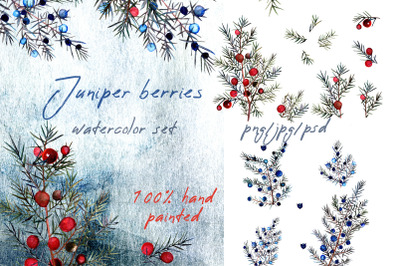 Watercolor juniper berries clipart set