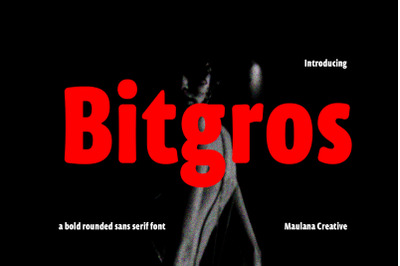 Bitgros Bold Rounded Sans Serif Display Font