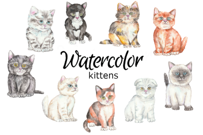 Kittens cats watercolor clipart