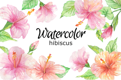 Hibiscus watercolor flower clipart tropical