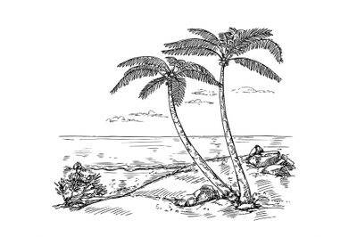 Sketch landscape with palm tree. Vacation on tropical beach, paradise