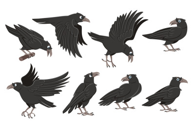 Cartoon crows. Wild black birds, raven character in different poses an