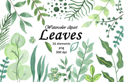 Watercolor Green Leaves Clipart isolated elements PNG