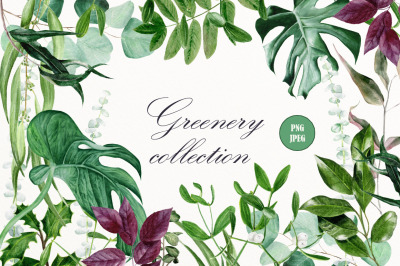 Summer greenery watercolor clipart
