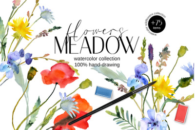 Watercolor Meadow Flowers
