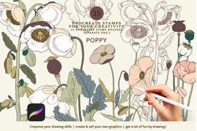 Poppy Stamps, Procreate Brushes, Floral Stamp, Botanical Stamp, Poppie