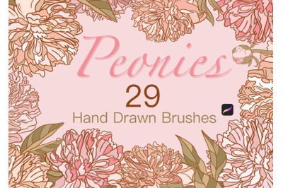 Peonies 29 Hand Drawn Brushes Procreate