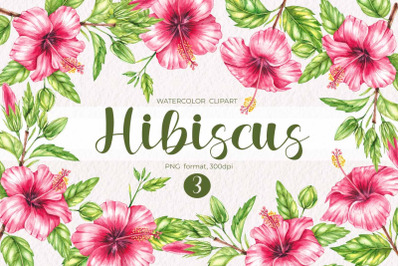 Watercolor Hibiscus / Watercolor clipart PNG