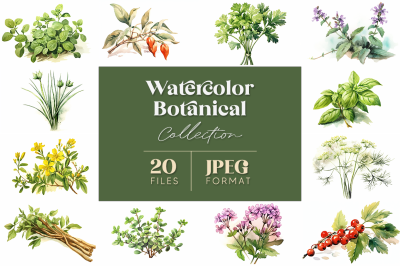 Watercolor Botanicals Collection