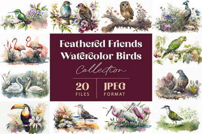 Feathered Friends: Watercolor Birds&nbsp;Collection