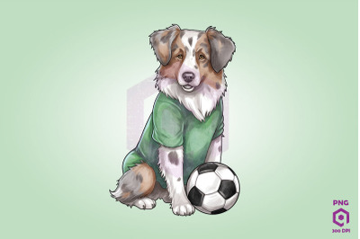 Australian Shepherd Dog Playing Football