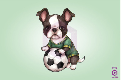 Boston Terrier Dog Playing Football