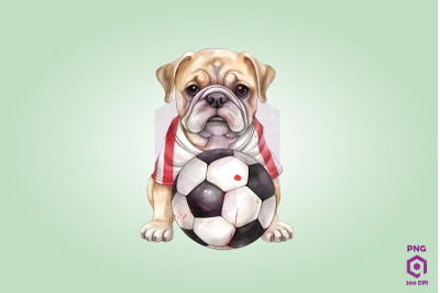 Bulldog Dog Playing Football