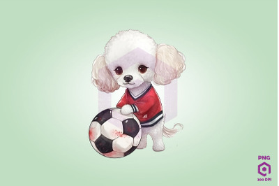 Poodle Dog Playing Football