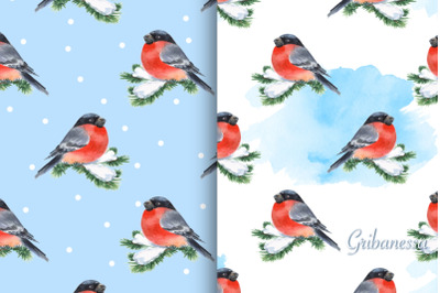 Seamless winter patterns with bullfinch birds