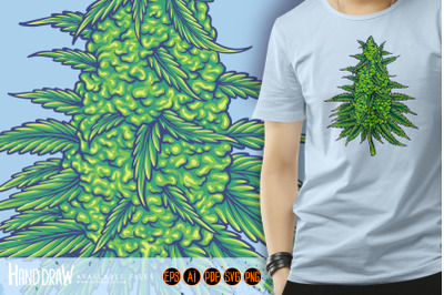 Cannabis sativa strains botanical hemp buds illustrations