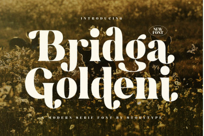 Bridga Goldeni Typeface