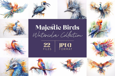 Majestic Birds Watercolor Collection