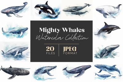 Mighty Whales Watercolor Collection