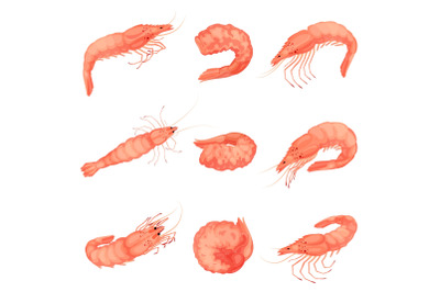 Shrimp icon set, cartoon style