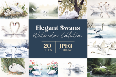 Elegant Swans Watercolor Collection