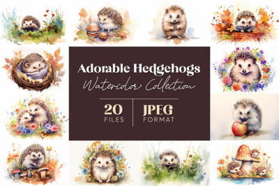 Adorable Hedgehogs Watercolor Collection