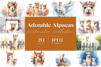 Adorable Alpacas Watercolor Collection